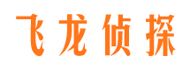 文圣市侦探公司